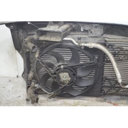 Ossatura calandra Skoda Fabia Dal 2007 al 2014  1721639826050