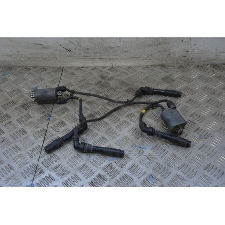 Coppia Bobina Accensione Kawasaki ZZR 600 Dal 1993 al 2004  1721742347855