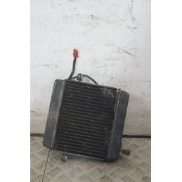 Radiatore Con Elettroventola Honda Foresight 250 Dal 1998 al 2004  1721985617500