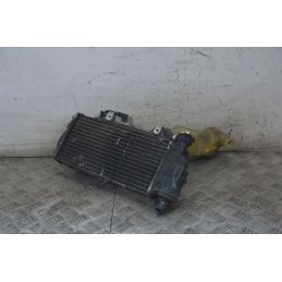 Radiatore Completo BMW F 650 GS Dal 2004 al 2007  1722867353219