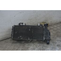 Radiatore Completo BMW F 650 GS Dal 2004 al 2007  1722867353219