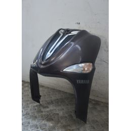 Carena Scudo Anteriore Con Frecce Yamaha D elight 125 Dal 2014 Al 2017  1723198339835