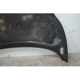 Cofano anteriore Ford Fiesta VI Dal 2008 al 2017 Cod OE 2002312  1723630421159