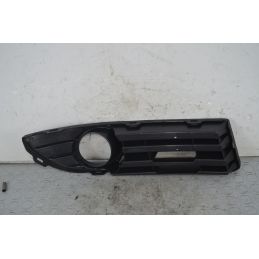 Griglia fendinebbia SX Volkswagen Polo 9N Dal 2001 al 2009 Cod 0904719  1724337974856