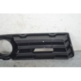 Griglia fendinebbia SX Volkswagen Polo 9N Dal 2001 al 2009 Cod 0904719  1724337974856