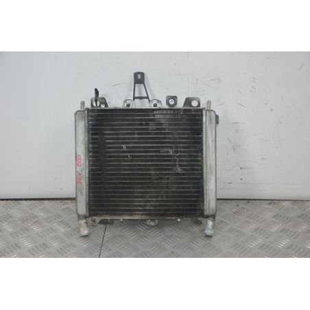 Radiatore Con Elettroventola Piaggio Beverly 500 dal 2002 al 2006  1724941923127