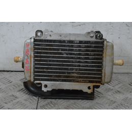 Radiatore Destro Piaggio Vespa GTS 250 Dal 2005 al 2012  1726483197608