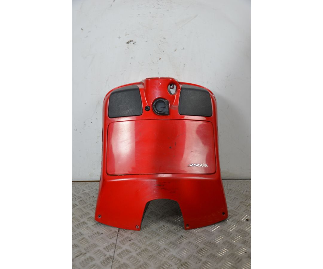 Carena Retroscudo Piaggio Vespa GTS 250 Dal 2005 al 2012  1726646890186