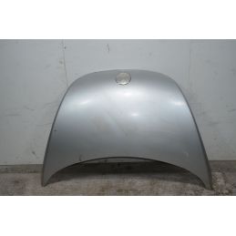 Cofano anteriore Volkswagen New Beetle Dal 1997 al 2005 Cod oe 1C0823031L  1726816874091