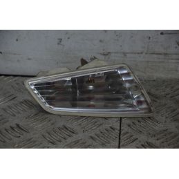 Coppia Frecce Anteriori Piaggio Vespa LX 125 / 150 Dal 2005 al 2011  1727424192980