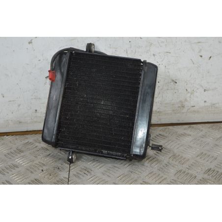 Radiatore Con Elettroventola Honda Foresight 250 dal 1998 al 2004  1732805148364