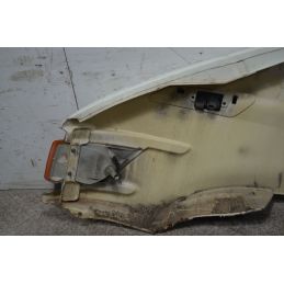 Parafango Anteriore DX Iveco Daily Dal 1999 al 2006  1737120212219