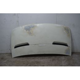 Cofano Anteriore Iveco Daily Dal 1999 al 2006  1738138870149