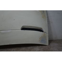 Cofano Anteriore Iveco Daily Dal 1999 al 2006  1738138870149