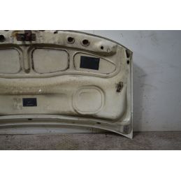 Cofano Anteriore Iveco Daily Dal 1999 al 2006  1738138870149