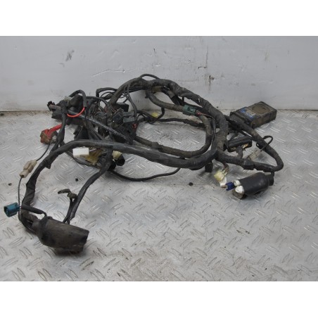 Cablaggio Impianto Elettrico Yamaha FZ6 dal 2004 al 2007  1636986601154