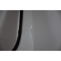 Portiera sportello anteriore SX Opel Vivaro Dal 2001 al 2014 Colore bianco  1641824306160