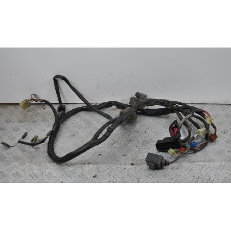 Cablaggio impianto Elettrico Honda Hornet 600 dal 1998 al 2000  1649431279020