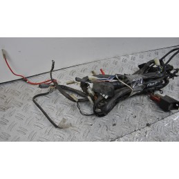 Cablaggio Impianto elettrico Piaggio Free 50 dal 1992 al 2003  1650620630072