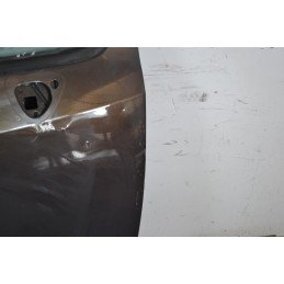 Portiera sportello anteriore DX Renault Modus Dal 2004 al 2013  1653549545717